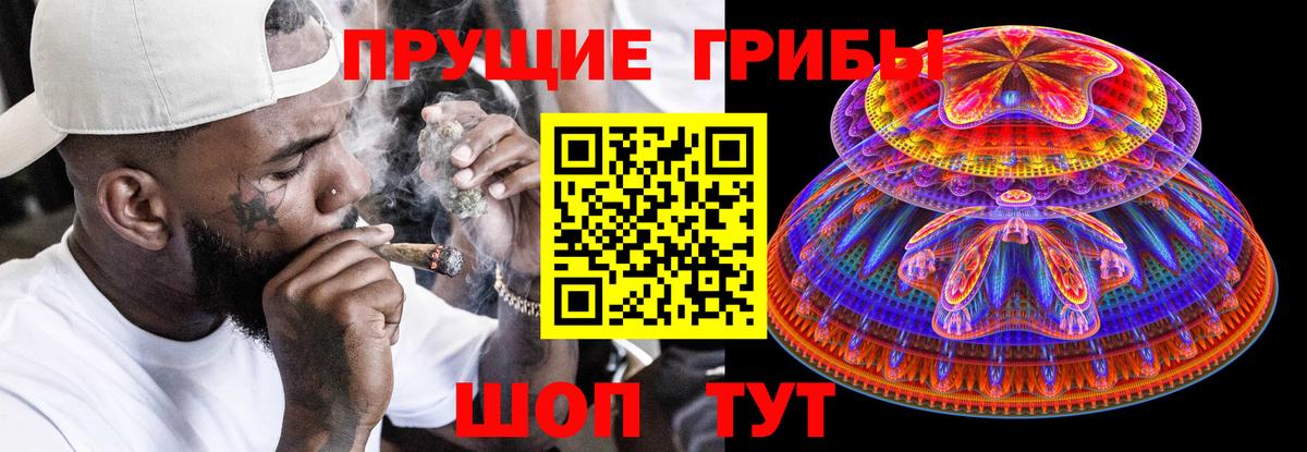 Псилоцибиновые грибы Psilocybine cubensis  Вход с VPN  Псилоцибиновые грибы ЛСД  Черкесск 